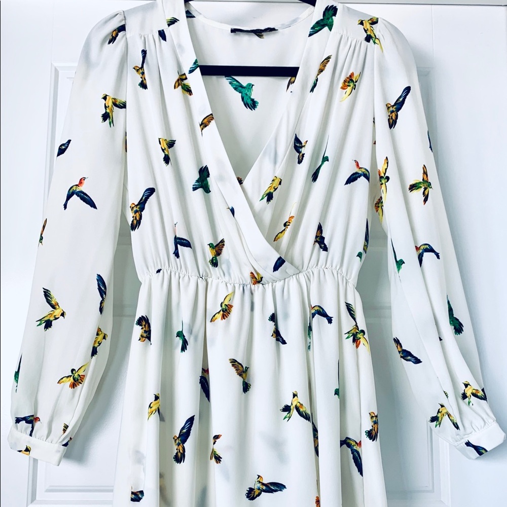 Honey punch long sleeved ivory dress